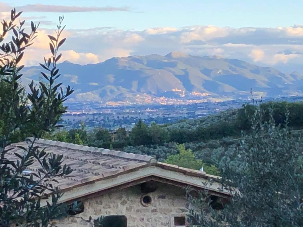 Camiano Piccolo Montefalco